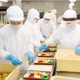 Tuyển 25 nữ cơm hộp làm việc tại Nhật